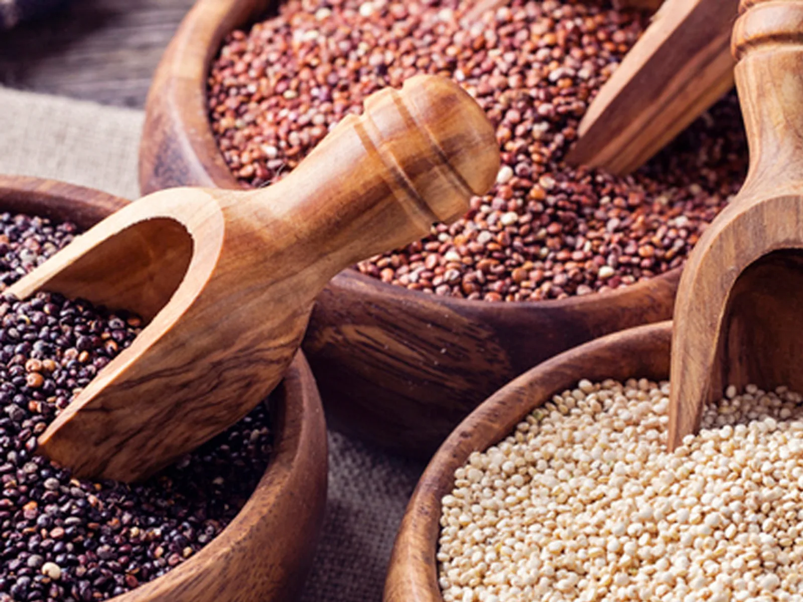 Bowls of red, black and white native quinoa grains