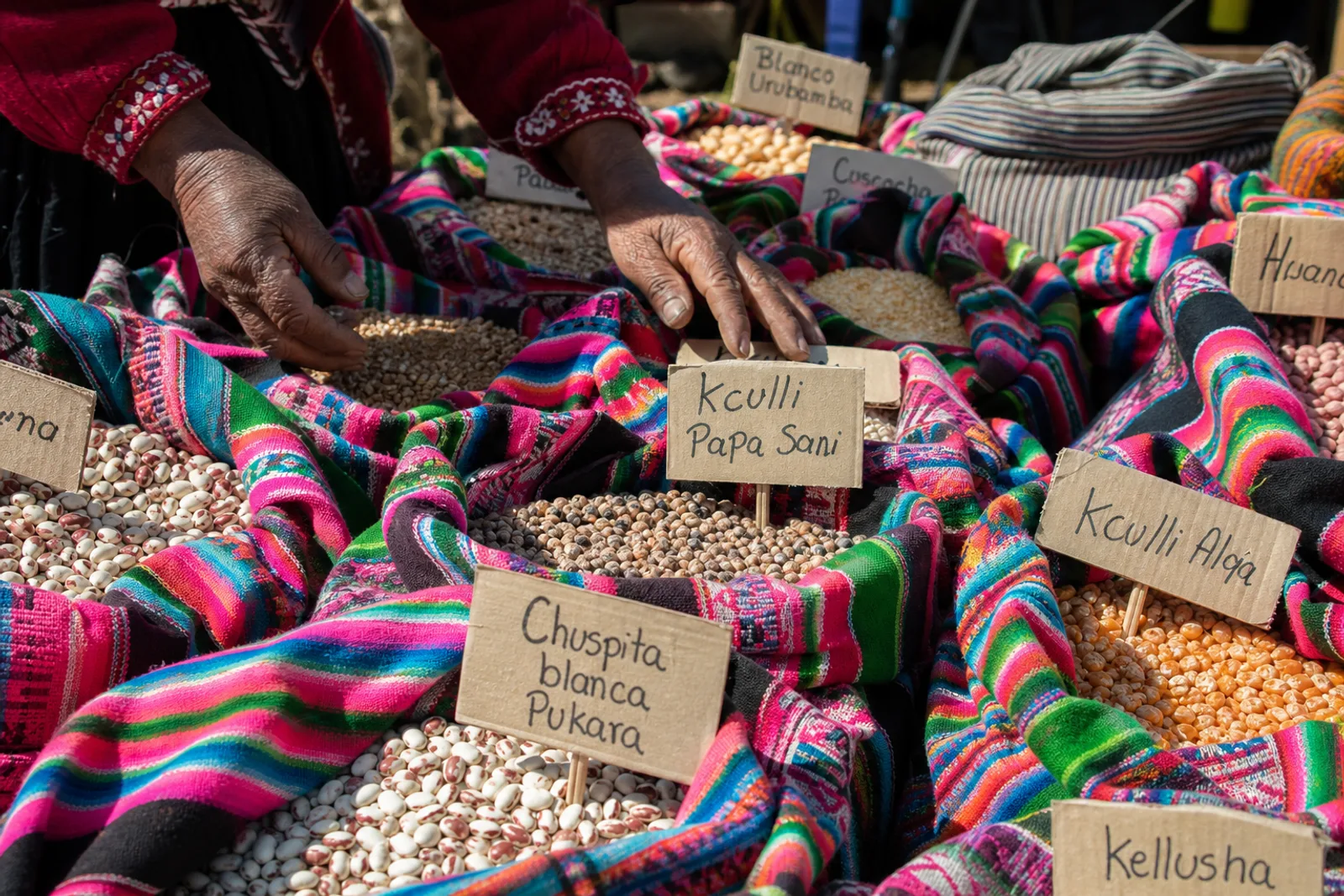 Rare seed varieties on Andean textiles, ready to be distributed